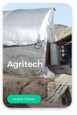 agritech, agriculture technology, esg, sustainability, greenhouse, it consultancy, software development consultancy