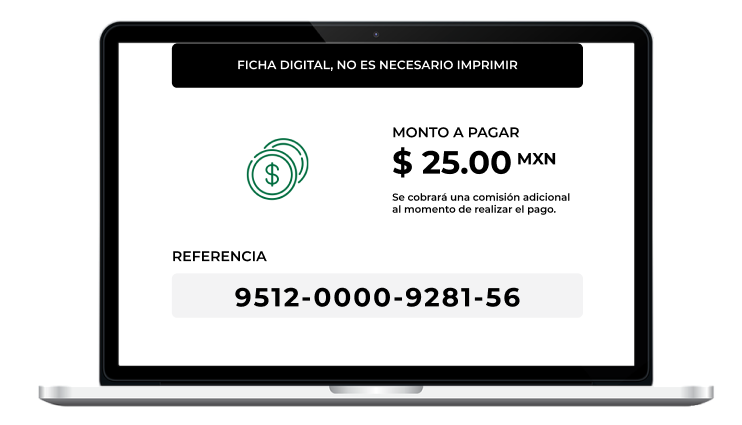 Imagen de referencia de pago en computadora