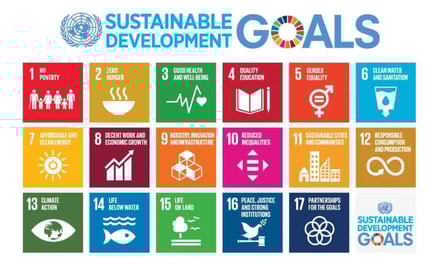 SDGs คืออะไร ? SDGs 17 เป้าหมายการพัฒนาที่ยั่งยืน โดย UN มีอะไรบ้าง, Picture