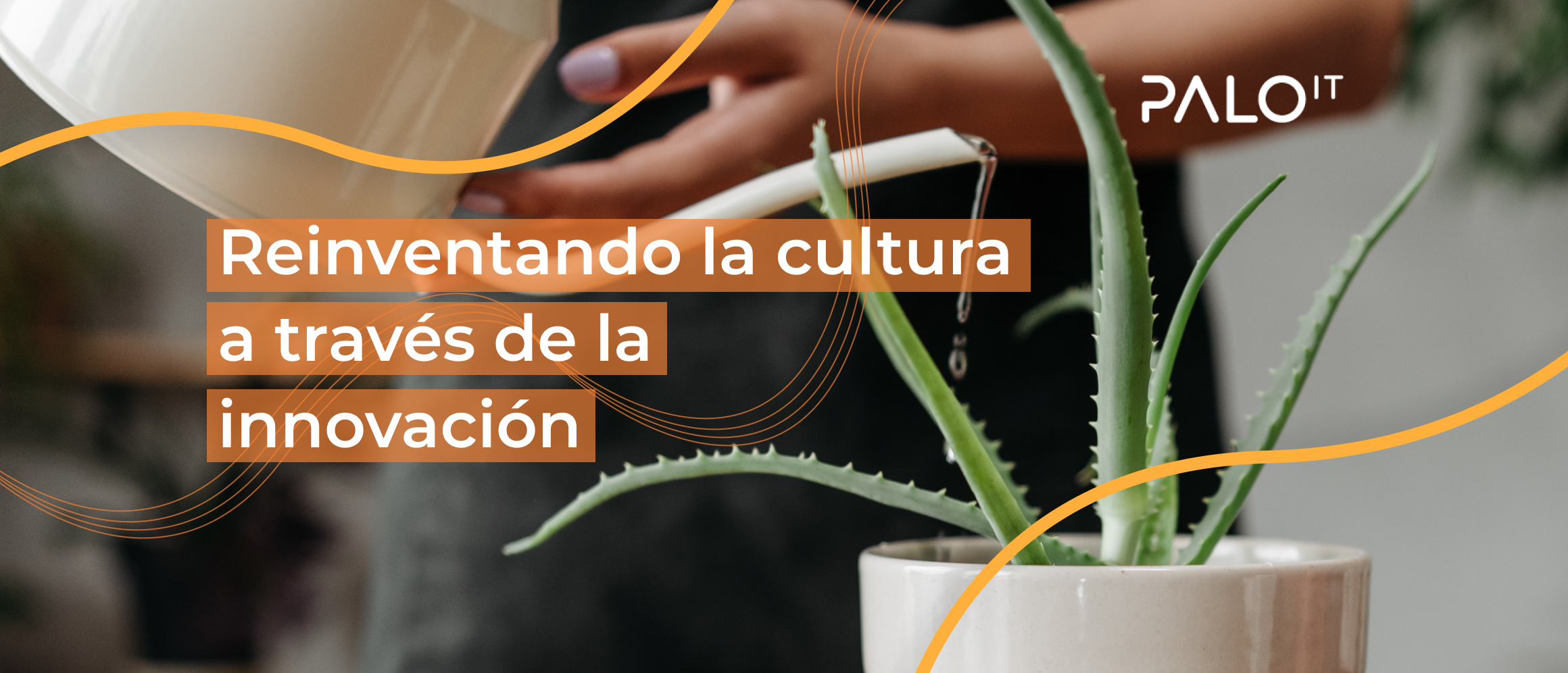La cultura organizacional, el cambio y la innovación