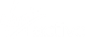 Virgin Active membership migration & mobile innovation