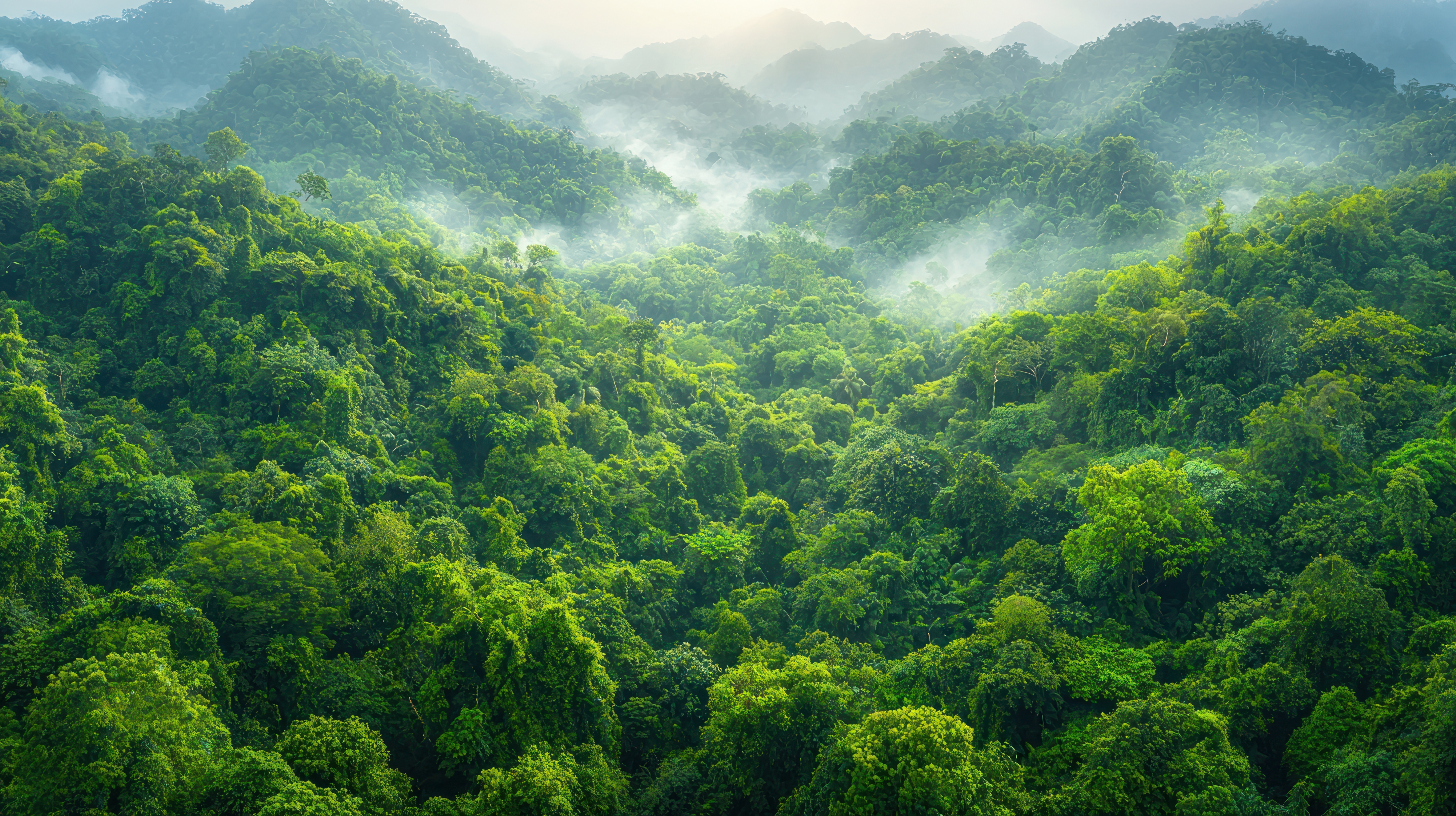 Why Choose PALO IT for ESG, GHG Accounting, and dMRV Solutions